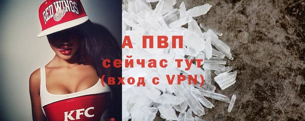 крисы Санкт-Петербург