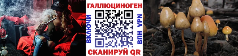 Галлюциногенные грибы Cubensis ОМГ ОМГ ССЫЛКА Пермь