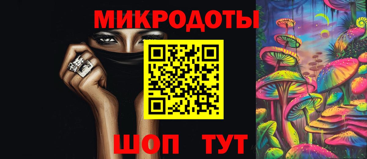 Россия  Псилоцибиновые грибы MAGIC MUSHROOMS  Вход с VPN 